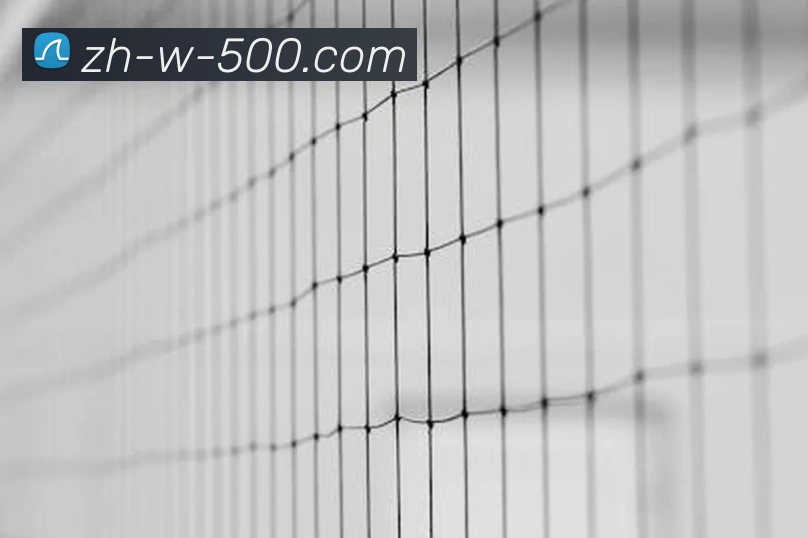 500彩票APP 体育赛事宣传图